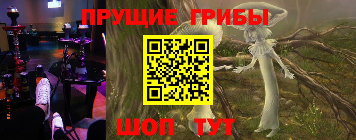 Зима  Галлюциногенные грибы GOLDEN TEACHER  Вход с VPN 