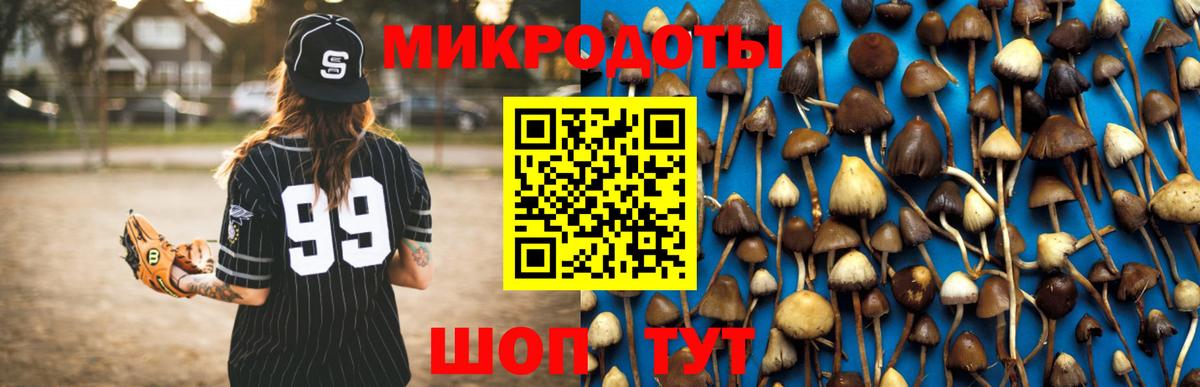 Псилоцибиновые грибы MAGIC MUSHROOMS Зима