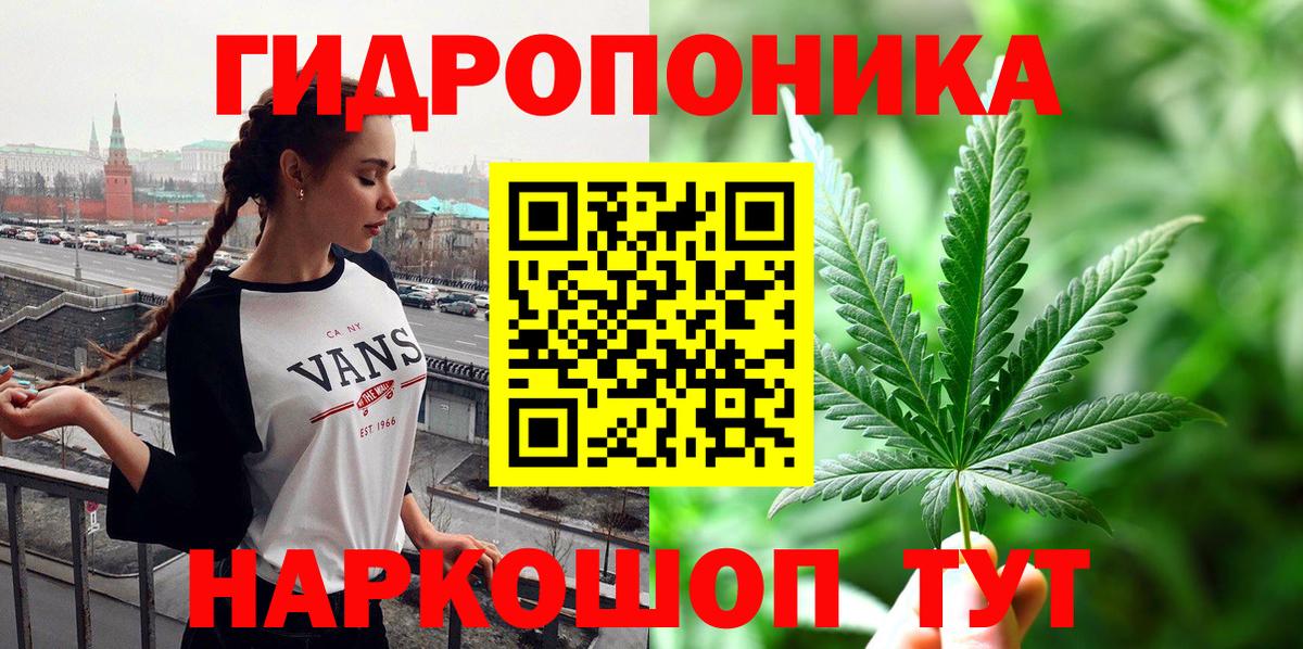 Конопля LSD WEED  Шишки марихуана сатива  Вход с VPN  МАРИХУАНА план  Зима  Каннабис THC 21% 